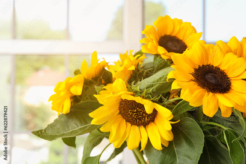 Bouquet of beautiful sunflowers, closeup