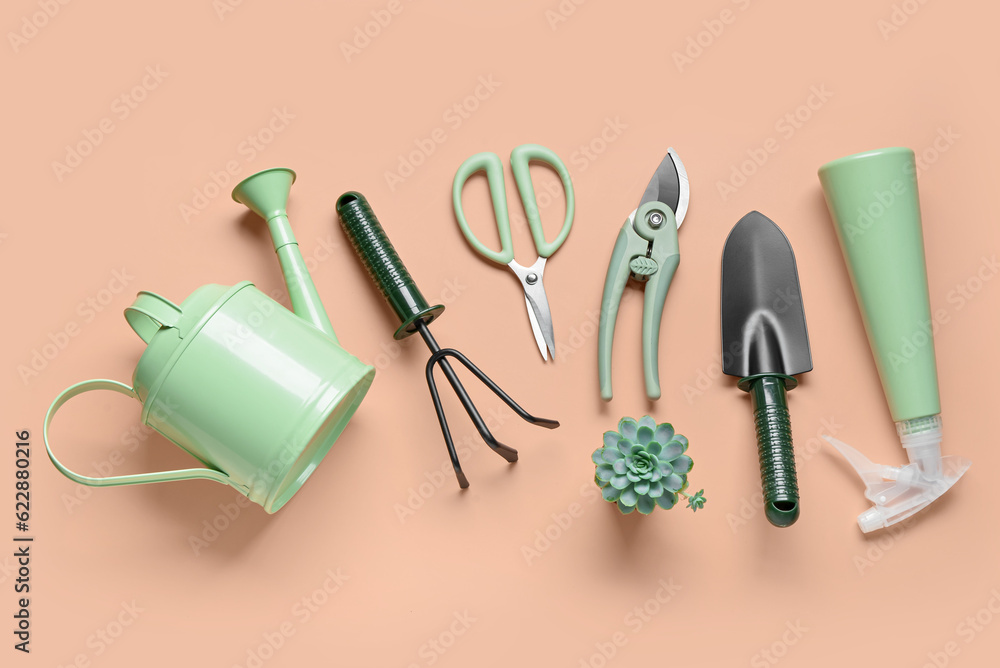 Set of gardening tools on beige background