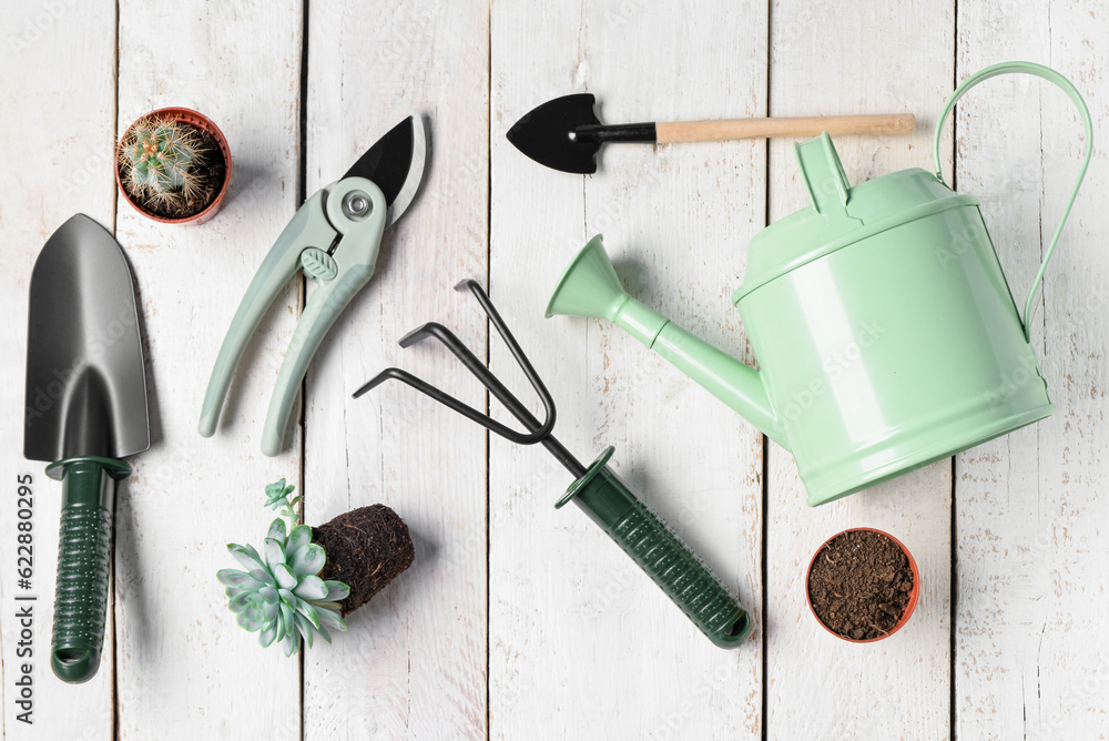 Set of gardening tools on white wooden background