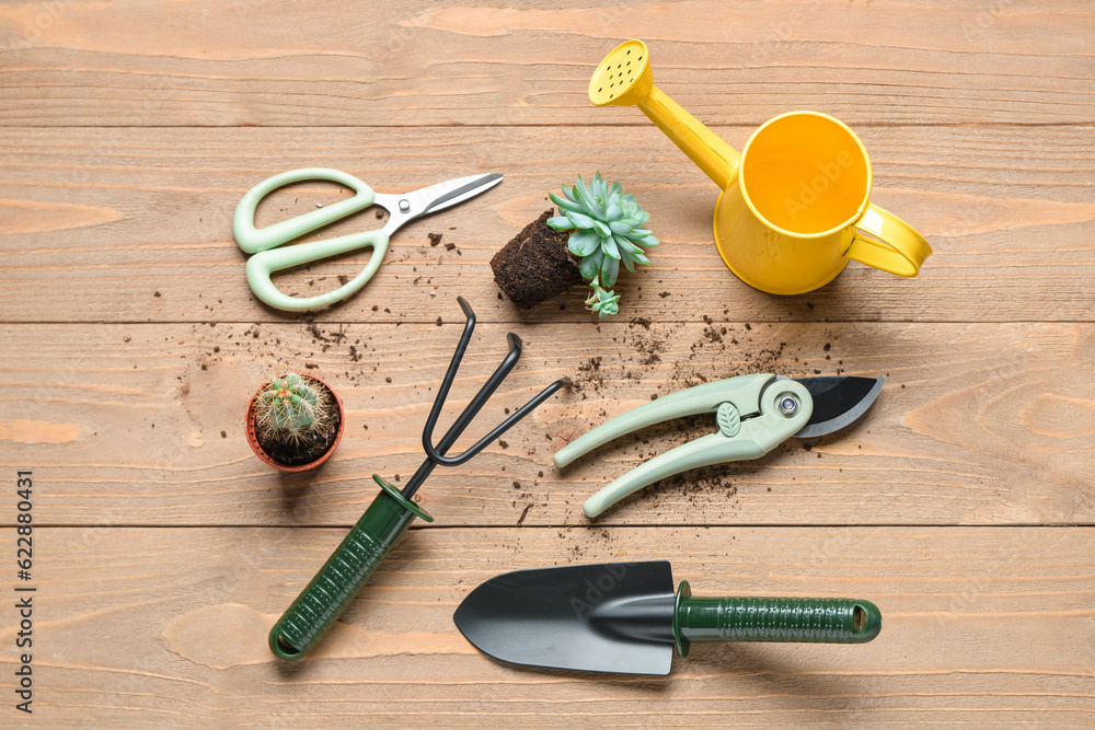 Set of gardening tools and plants on wooden background