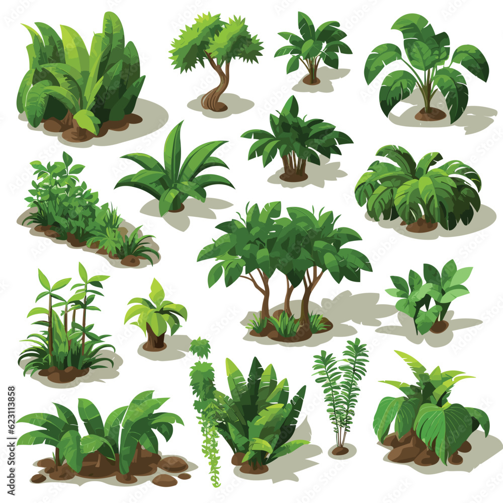 Jungle vegetation set isometric vector flat isolated illustration