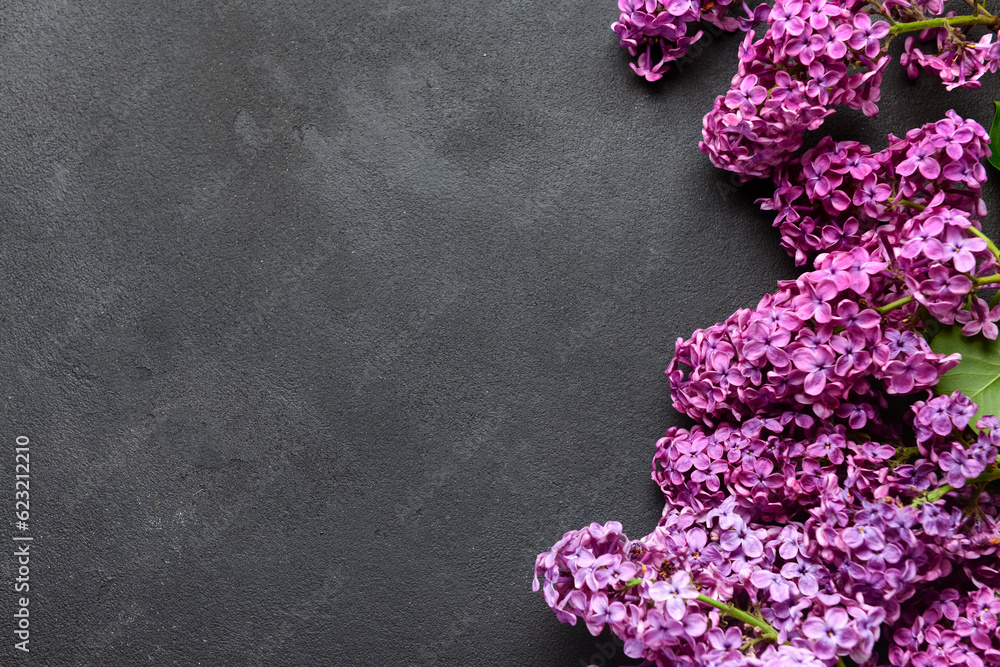 Beautiful bright lilac flowers on dark background