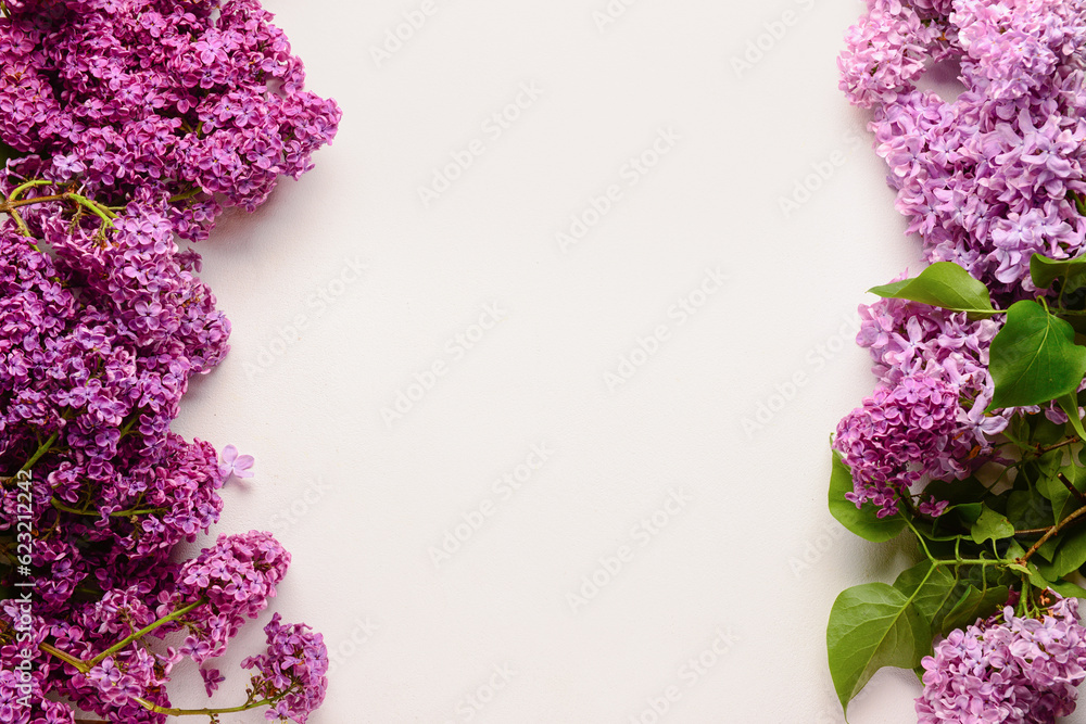 Beautiful bright lilac flowers on white background