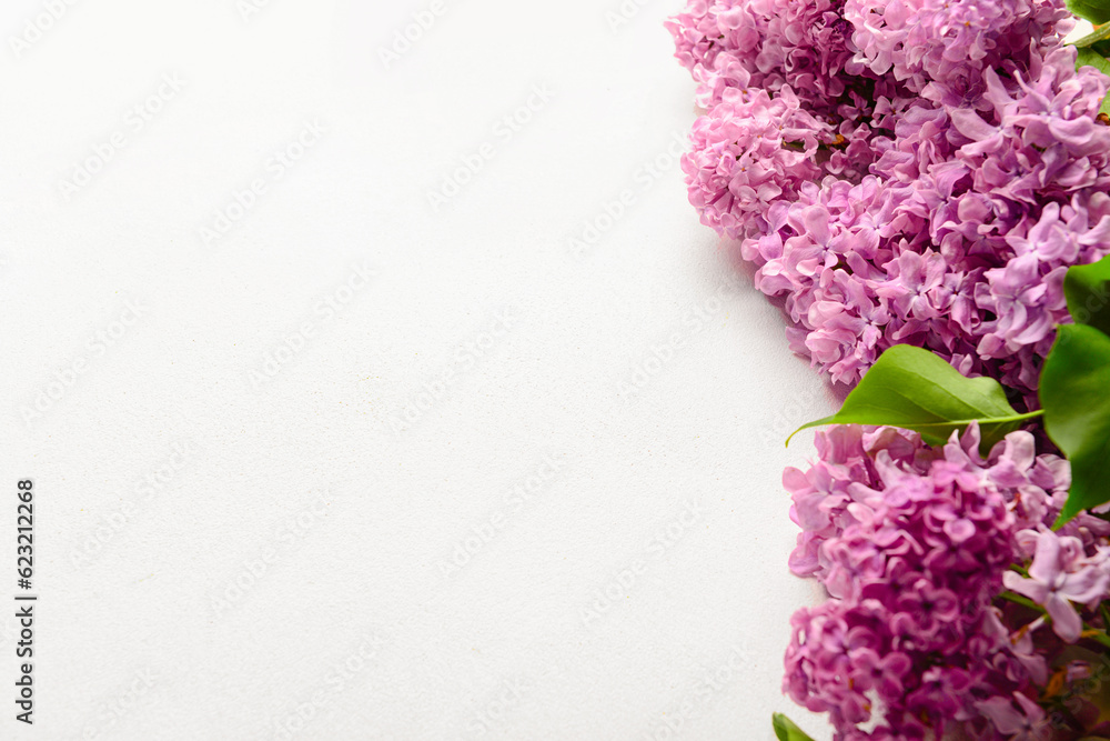 Beautiful bright lilac flowers on white background