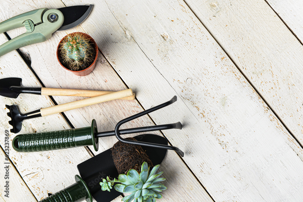 Set of gardening tools on white wooden background