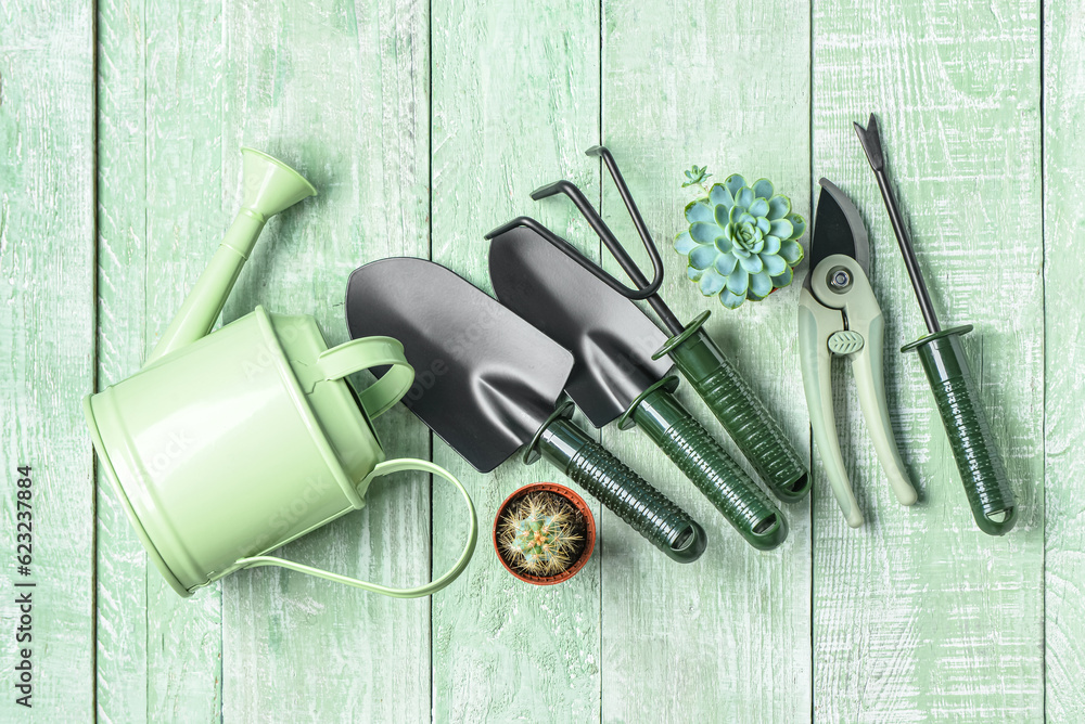 Set of gardening tools on green wooden background