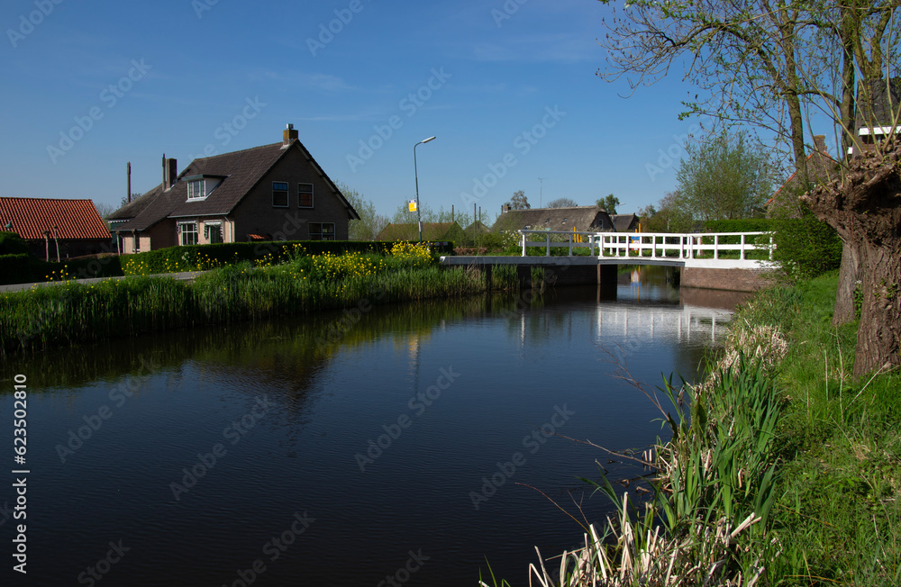 Landscape green meadow and canal with clear water