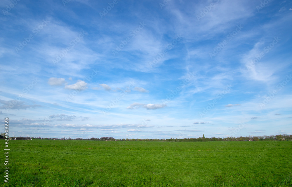 Landscape of green meadow