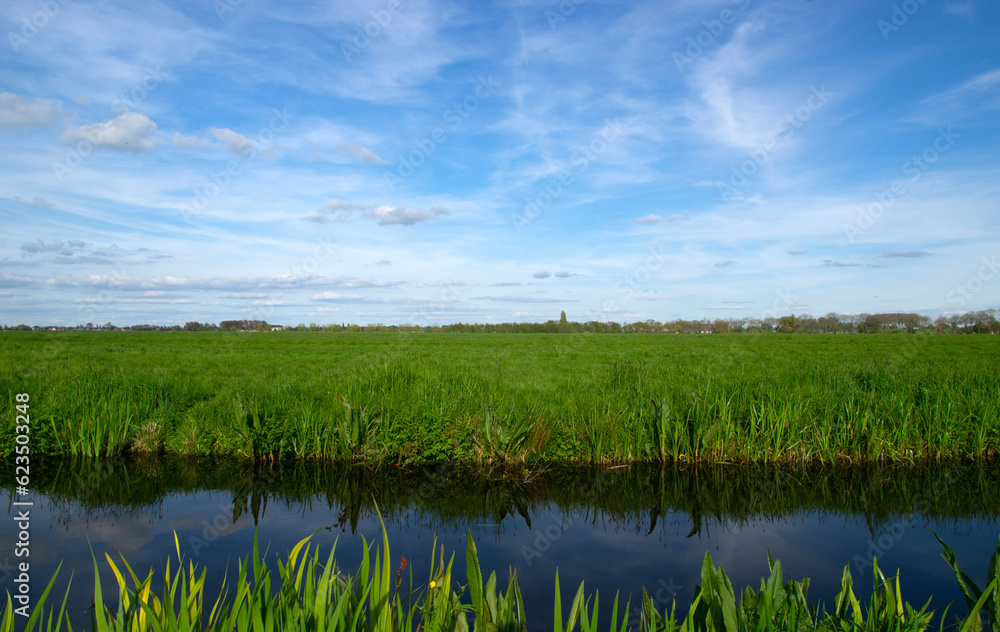 Landscape green meadow and canal with clear water