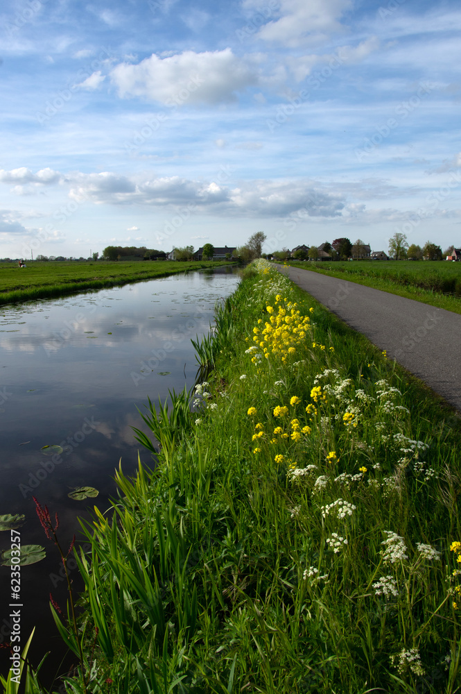 Landscape green meadow and canal with clear water