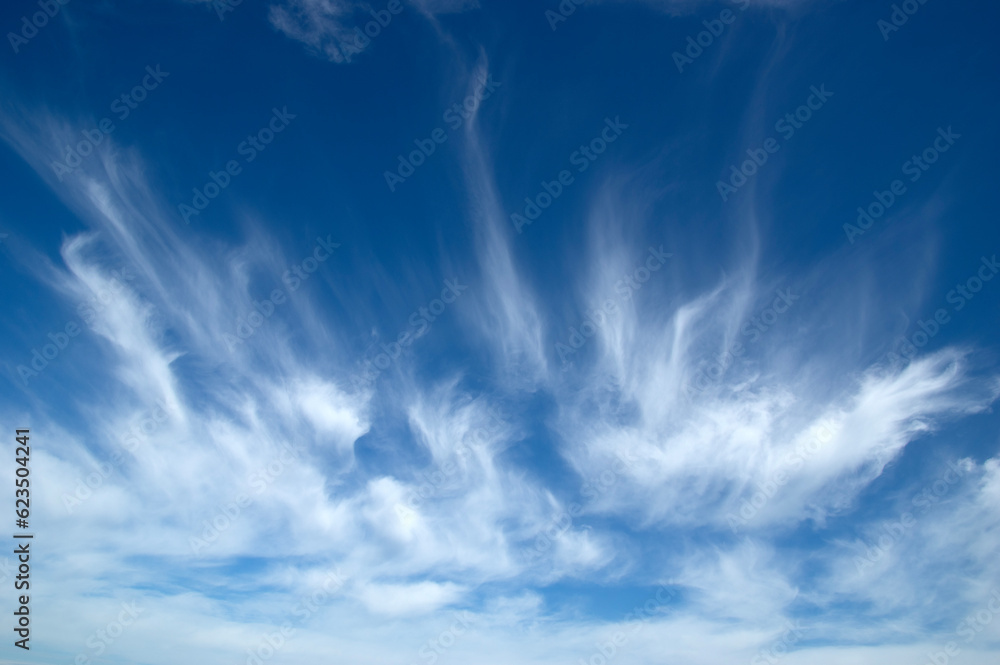 White fluffy clouds in the sky.