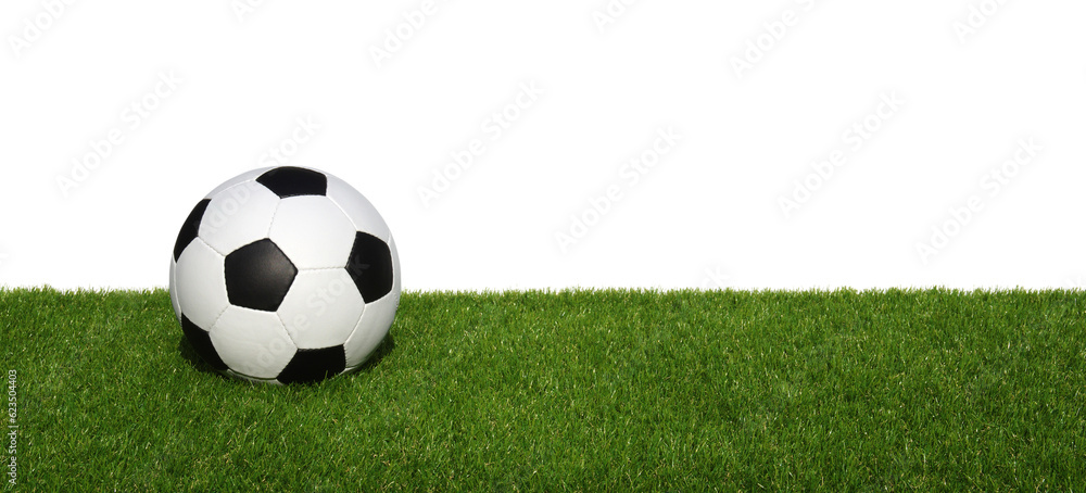 Soccer ball on green grass