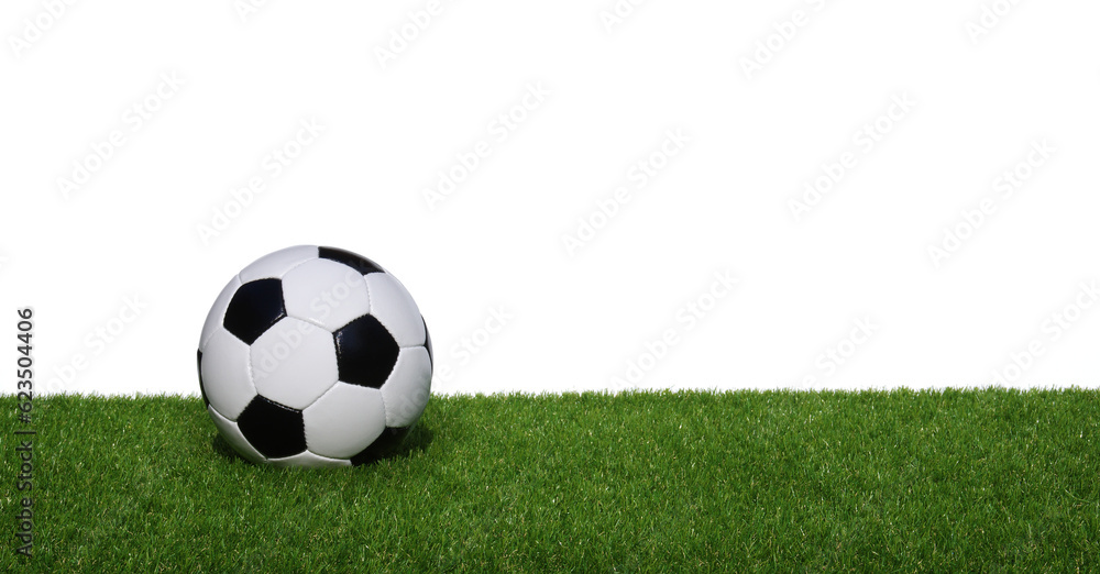 Soccer ball on green grass