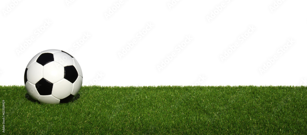 Soccer ball on green grass