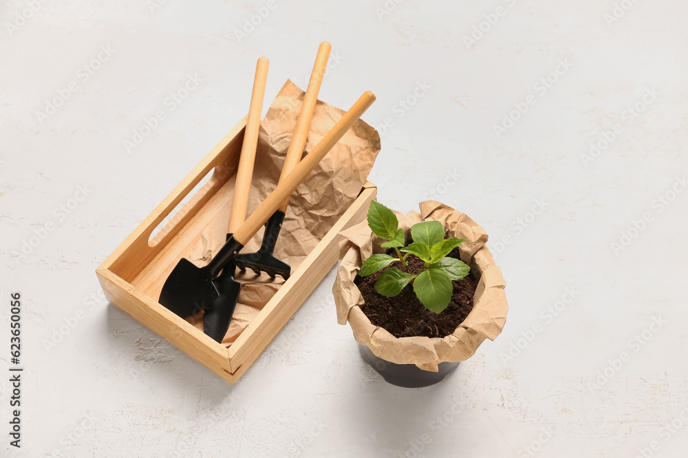 Flower pot with green seedling and gardening tools on light background