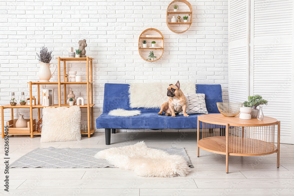 Cute French bulldog sitting on sofa in living room