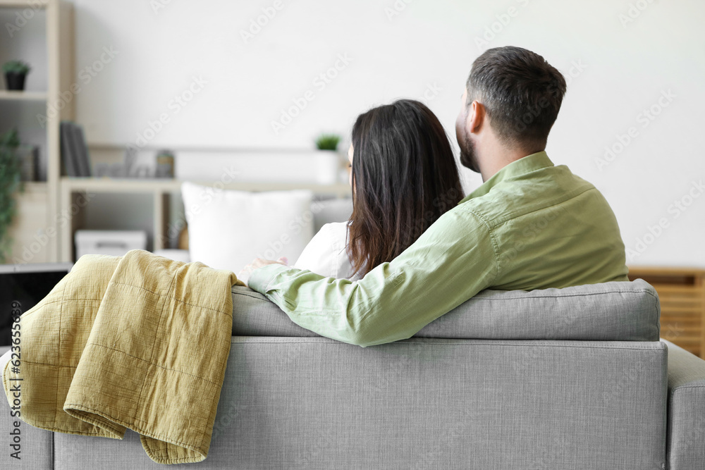 Happy young couple resting on sofa at home, back view