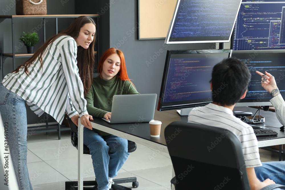 Female programmers working in office