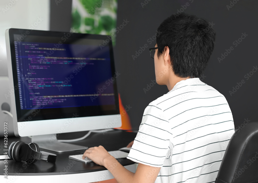 Male Asian programmer working with computer in office