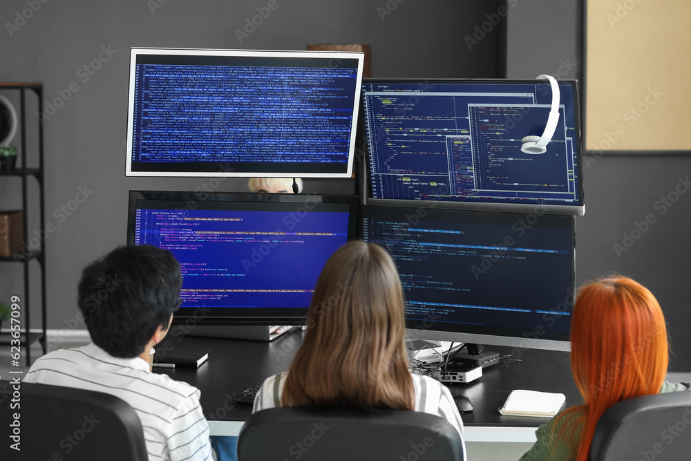 Team of young programmers working in office, back view