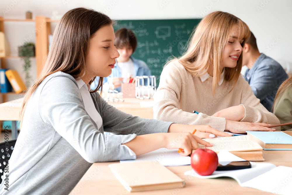 Female students studying at table in classroom