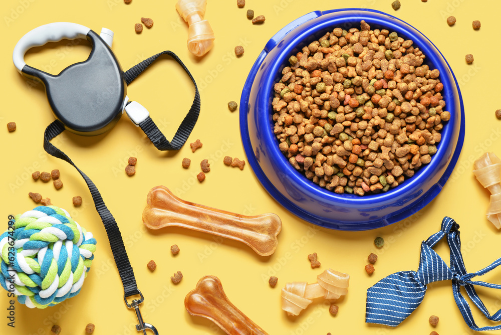 Composition with dog food and pet care accessories on color background