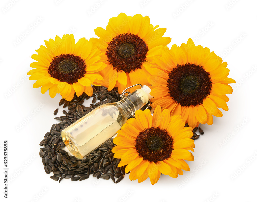 Sunflowers, seeds and bottle of oil on white background