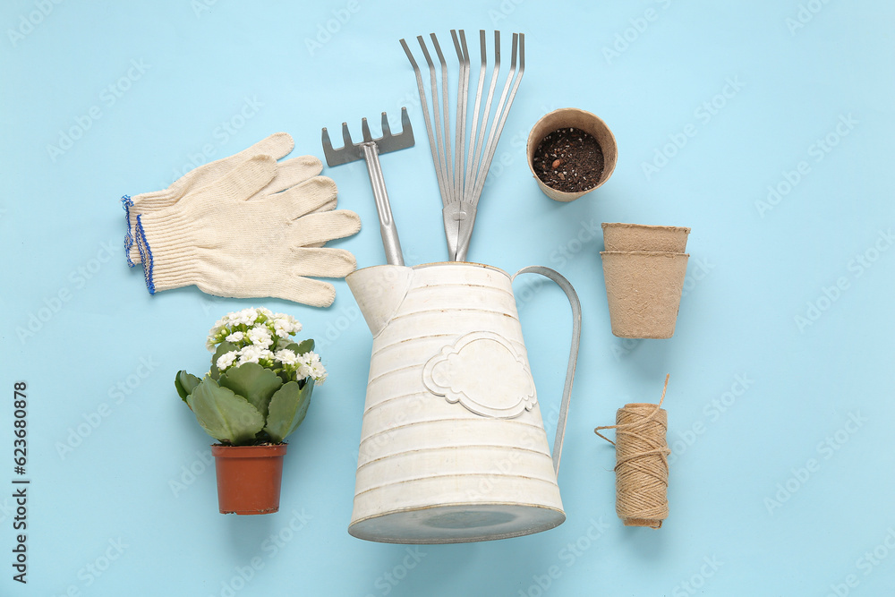 Different gardening tools and plant on blue background