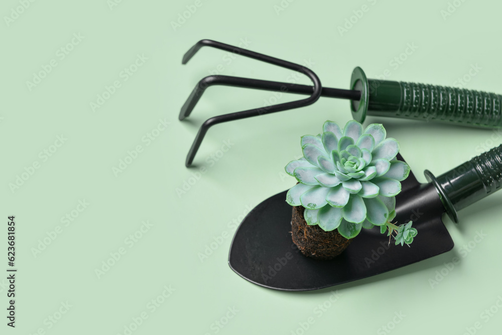 Gardening rake and shovel with plant on green background