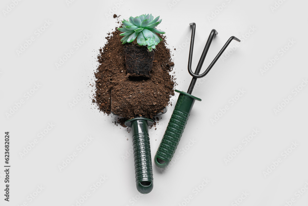 Gardening rake, shovel and plant in soil on white background