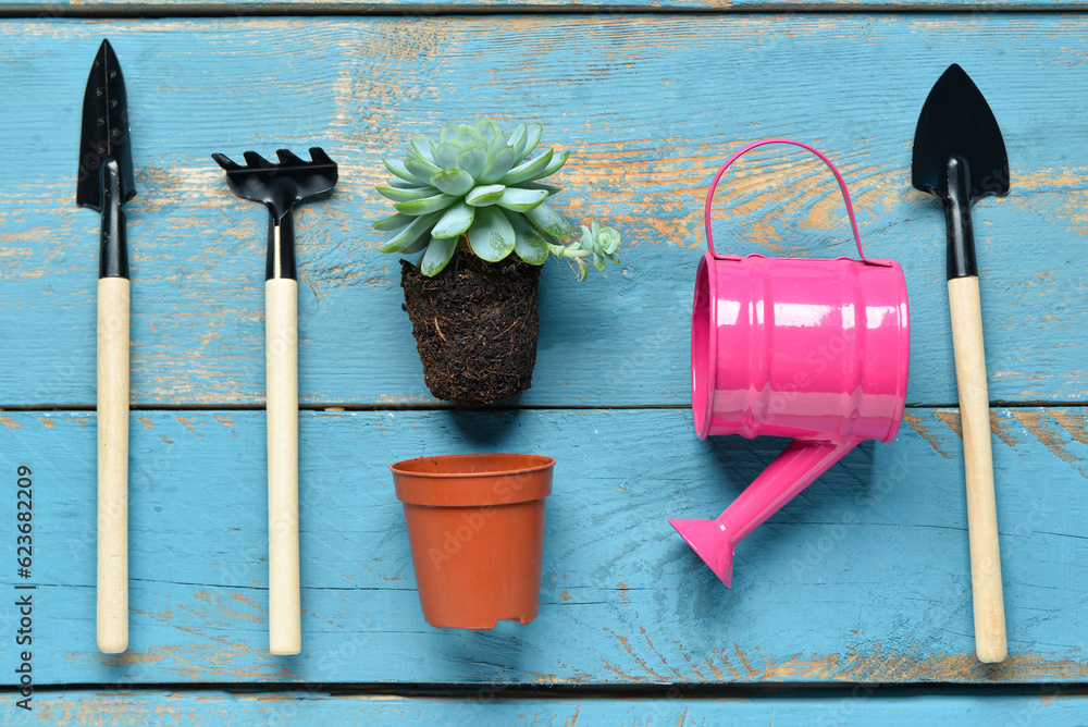 Gardening rake, shovels, watering can and plant on blue wooden background