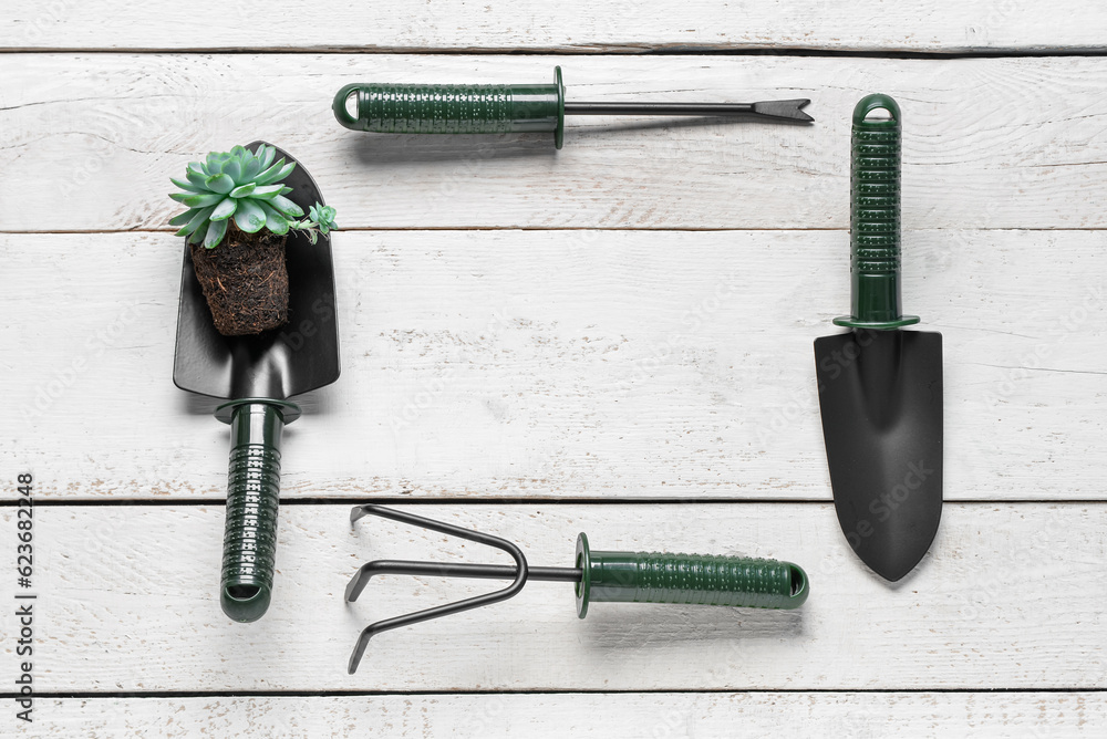 Frame made of gardening rake, weeder and shovels with plant on white wooden background