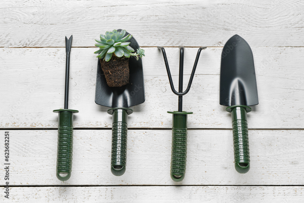 Gardening rake, weeder and shovels with plant on white wooden background