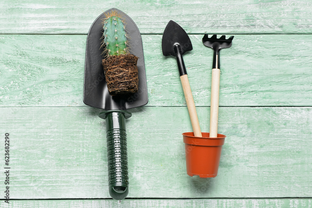 Gardening rake, shovels and plant on green wooden background