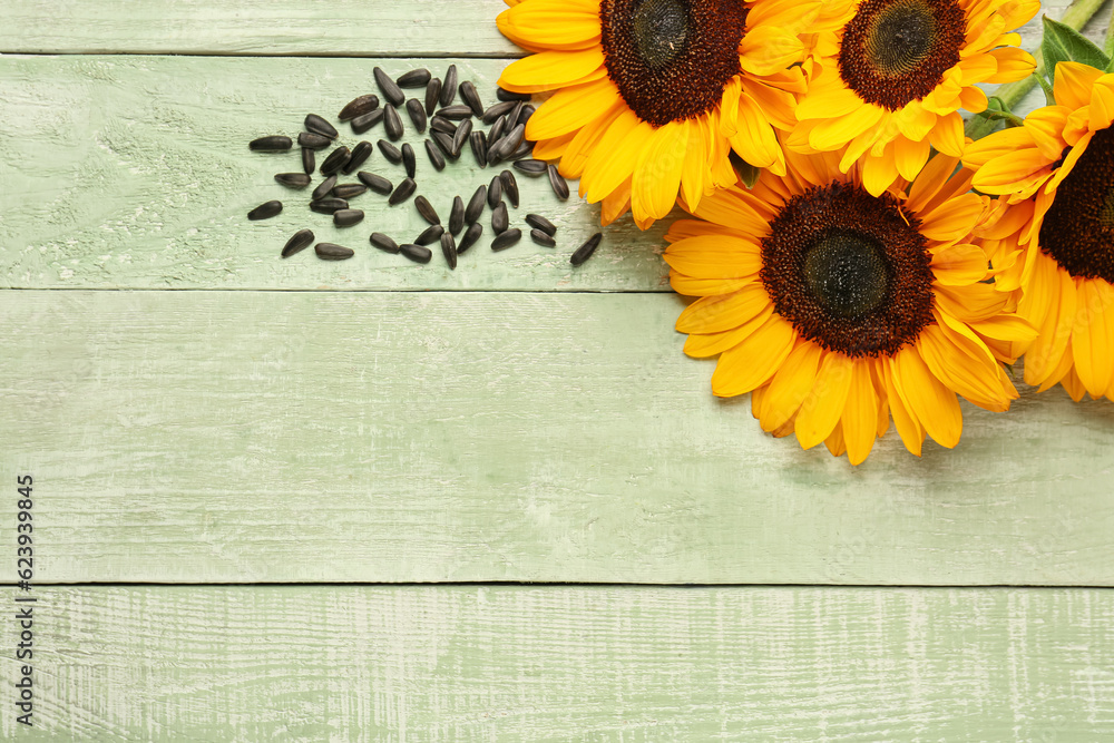 Beautiful sunflowers and seeds on wooden green background