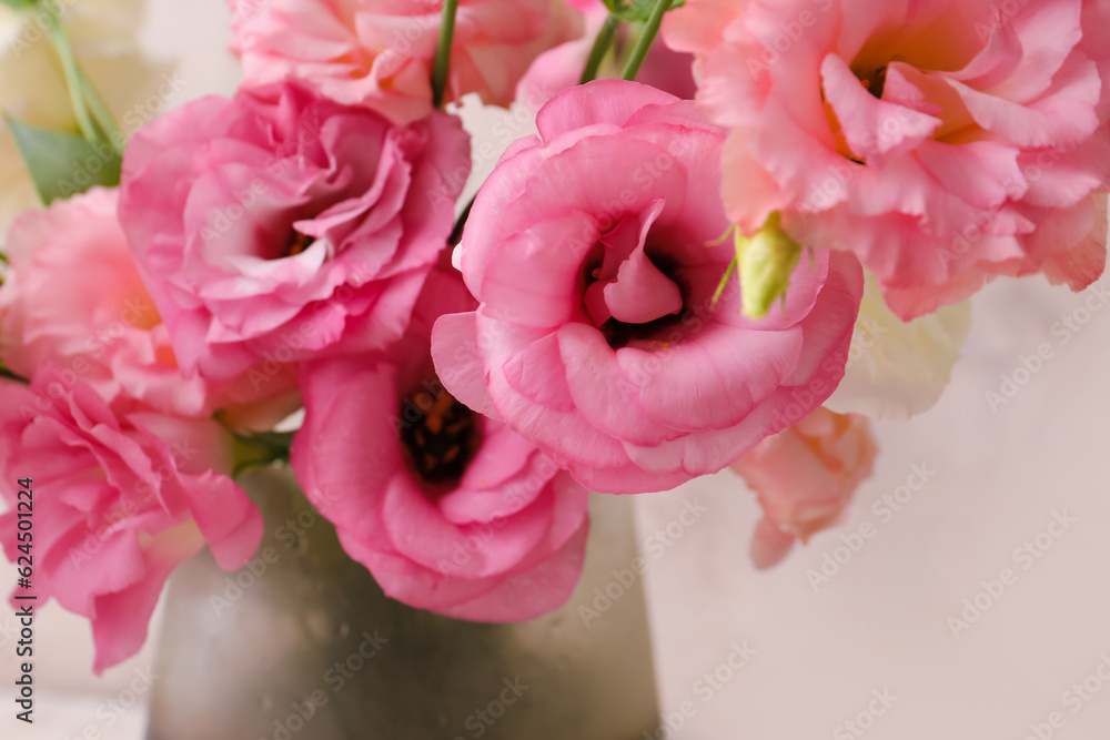 Beautiful pink eustoma flowers, closeup