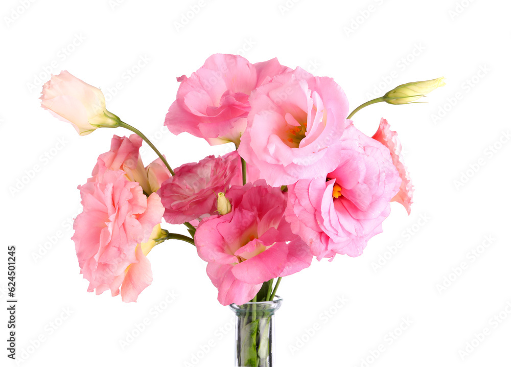 Vase with beautiful pink eustoma flowers on white background