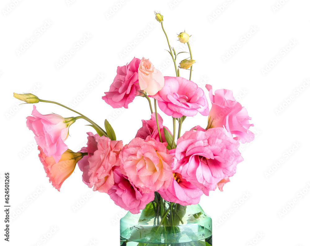 Vase with beautiful pink eustoma flowers on white background