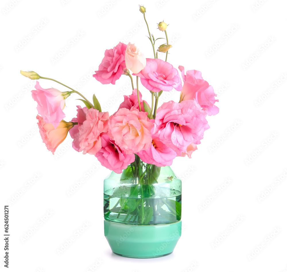 Vase with beautiful pink eustoma flowers on white background