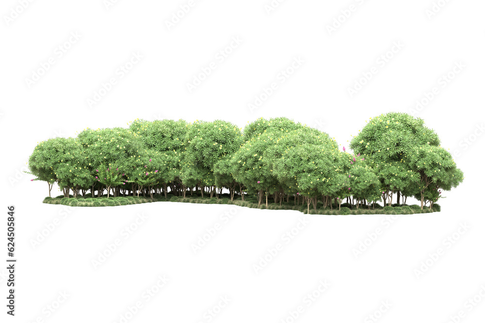 Landscape isolated on transparent background. 3d rendering - illustration