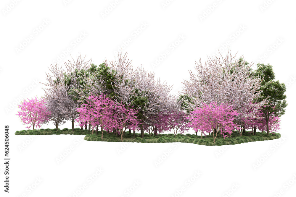 Landscape isolated on transparent background. 3d rendering - illustration