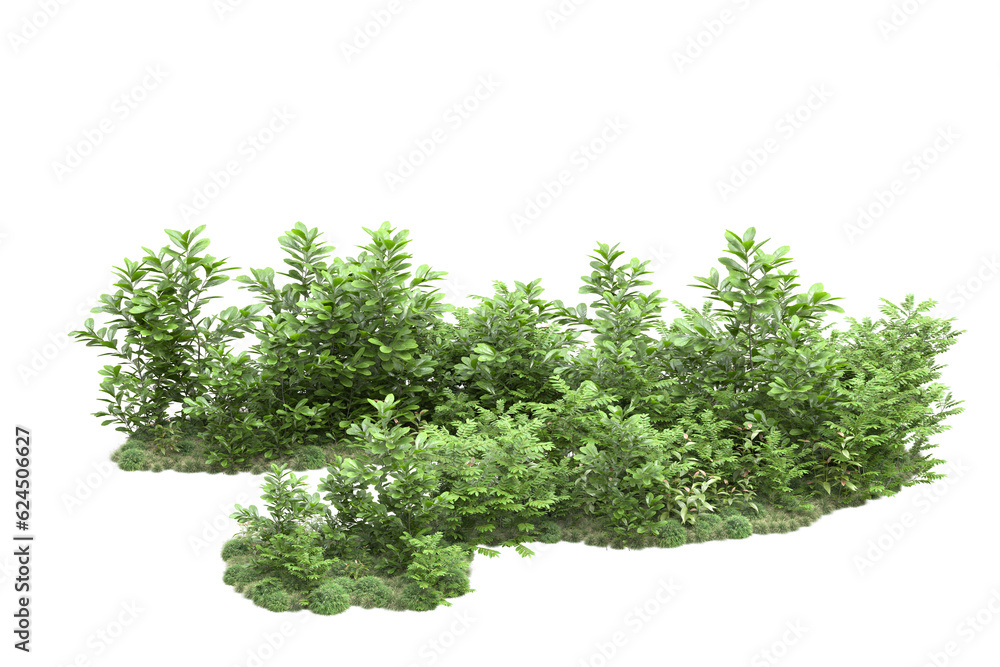 Landscape isolated on transparent background. 3d rendering - illustration