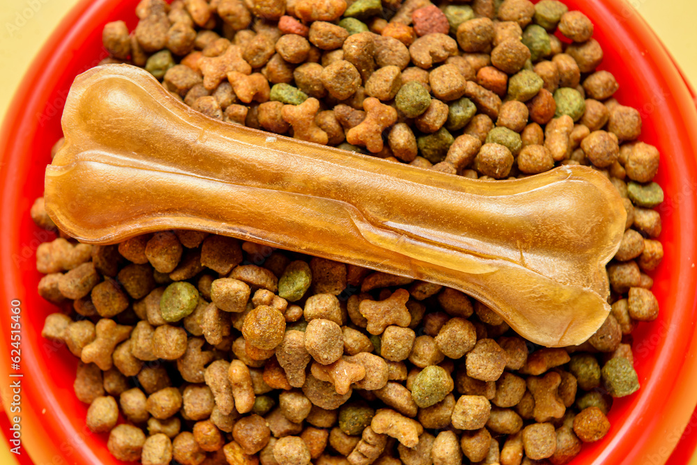 Bowl of dry dog food and chew bone on color background, closeup