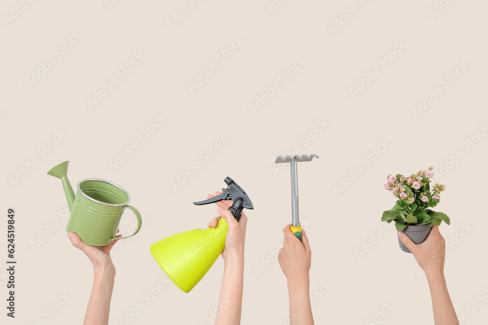 Women with plant and different gardening tools on light background