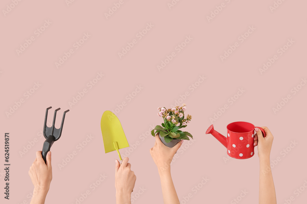 Women with plant and different gardening tools on pink background