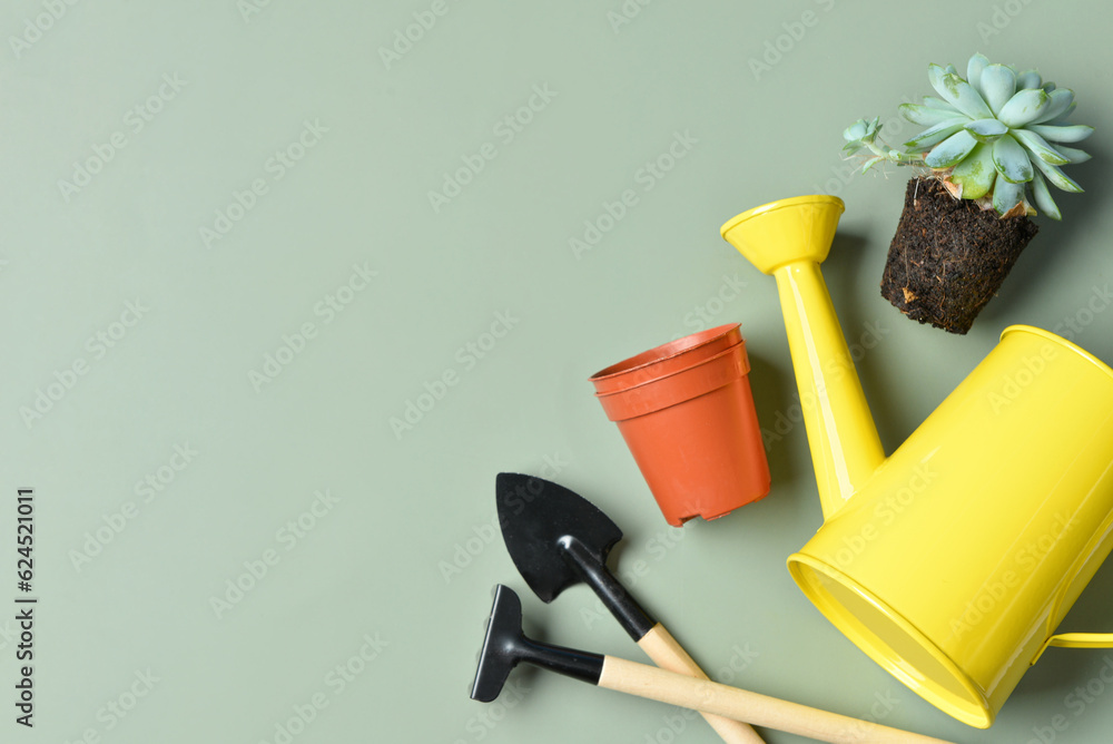 Gardening rake, shovel, watering can and plant on green background