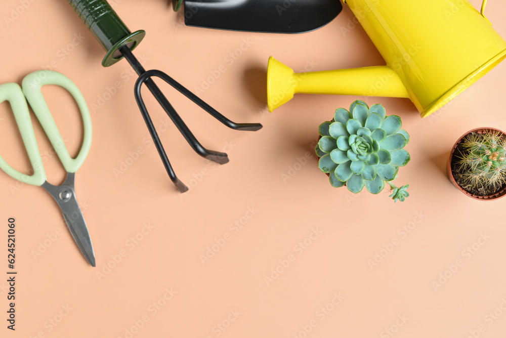 Set of gardening tools on beige background