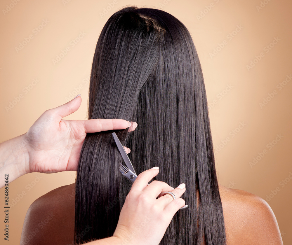 Back view, hands cut hair and woman, beauty and shine, cosmetic care isolated on studio background. 