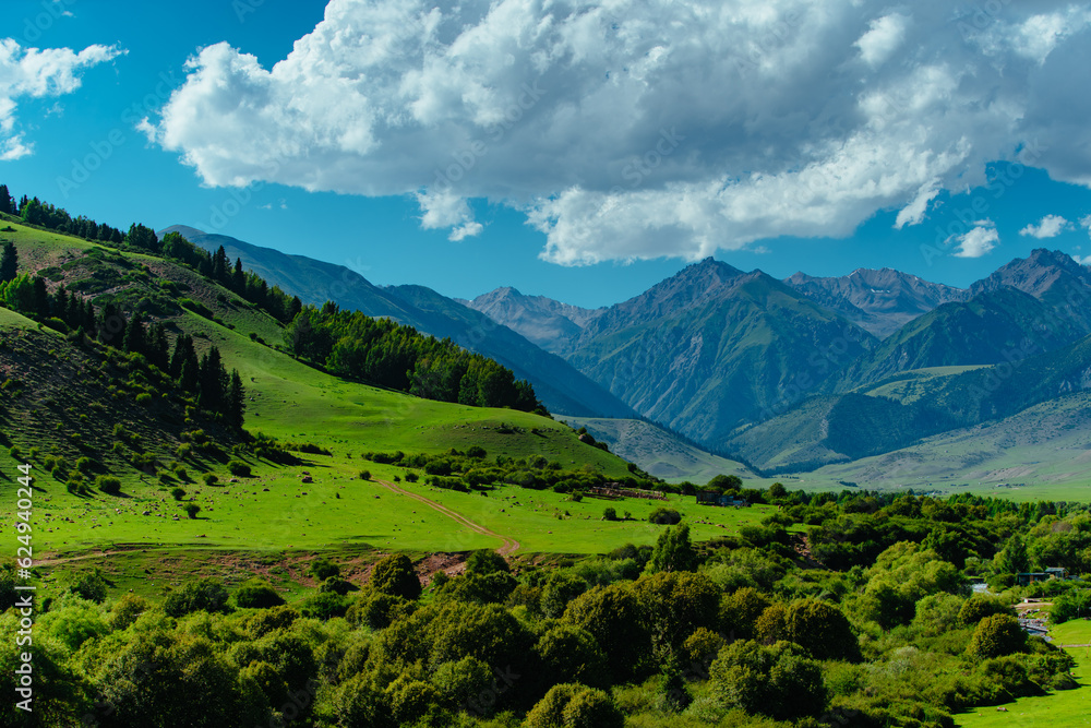 Picturesque mountain landscape in summer