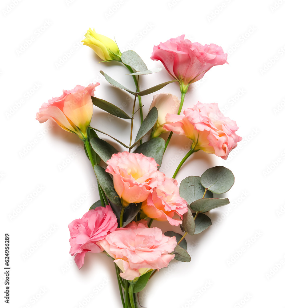 Beautiful pink eustoma flowers and eucalyptus on white background